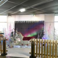 La Licorne du Père Noël - studio photos Maquarella