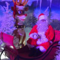 Le Père Noël dans son traineau avec son renne rigolo - studio photos Maquarella